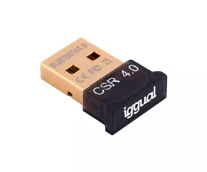 iggual IGG316658