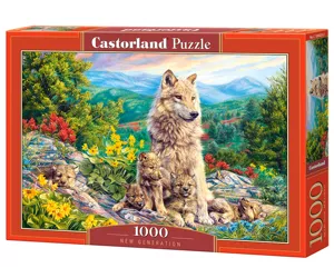 Castorland New Generation 1000 pcs