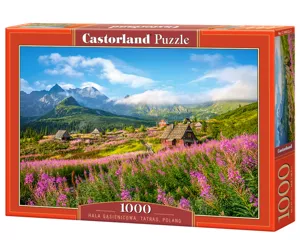 Castorland Hala Gąsienicowa, Tatras, Poland 1000 pcs