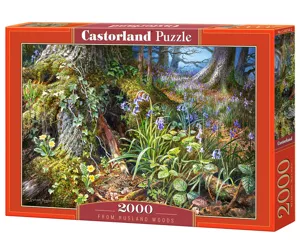 Castorland From Rusland Woods 2000 pcs