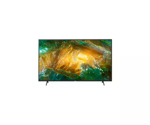 Sony KD49XH8096BAEP