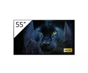 Sony FWD-55A8/T