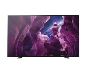 Sony FWD-65X95H/T