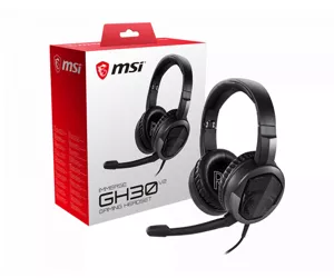 MSI Immerse GH30 V2