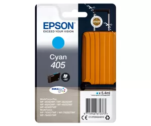 Epson 405