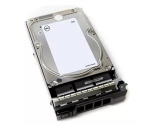 DELL NPOS - to be sold with Server only - 8TB 7.2K RPM NLSAS 512e 3.5in Hot-plug Hard Drive, PI, CusKit