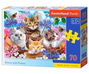 Castorland B-070107