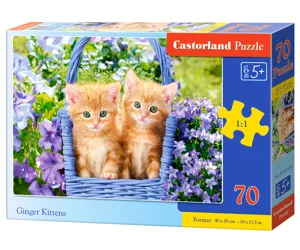 Castorland B-070169