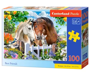 Castorland B-111121