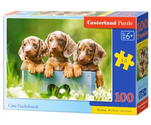 Castorland B-111213