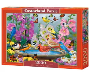 Castorland C-200818-2