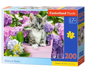Castorland B-222209