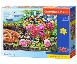 Castorland B-222216