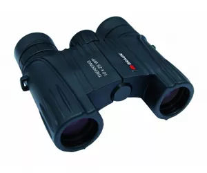 Braun 10x25 WP