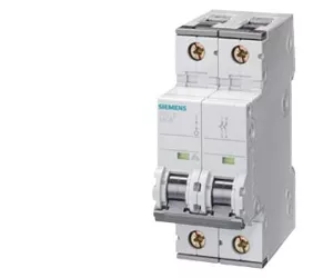 Siemens 5SY4210-6