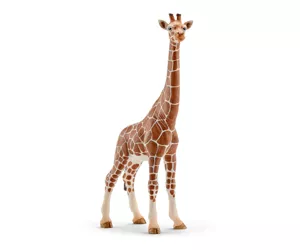 schleich Wild Life 14750