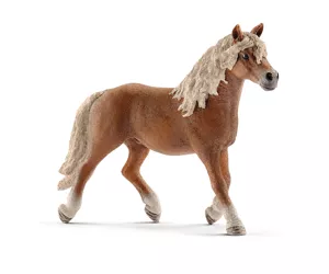 schleich Farm Life 13813
