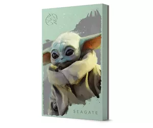 Seagate STKL2000404