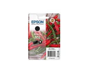 Epson 503