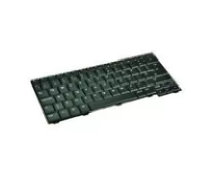 DELL W244P