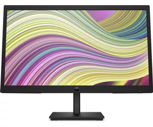 HP P22v G5 computer monitor