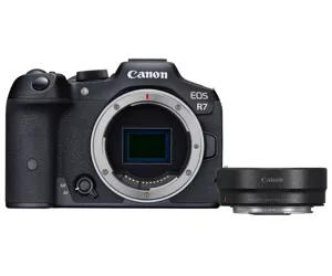 Canon EOS R7 + EF- R