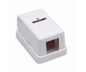Intellinet 162739