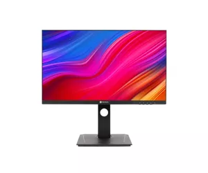 AG Neovo DW2401 60,5 cm (23.8") 2560 x 1440 пикселей Wide Quad HD LED Черный