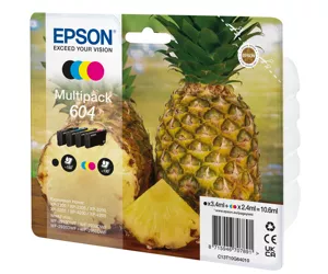 Epson 604