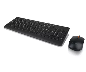 Lenovo 300