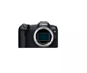 Canon EOS R8 + RF 24-50mm F4.5-6.3 IS STM Kit
