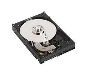 DELL C652M sisemine kõvaketas 3.5" 1 TB Jada ATA II