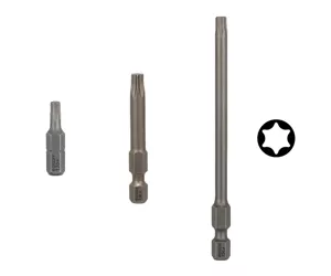 Bosch 2 607 001 648 suktuvo antgalis