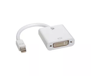 V7 White Video Adapter Mini DisplayPort Male to DVI-D Male