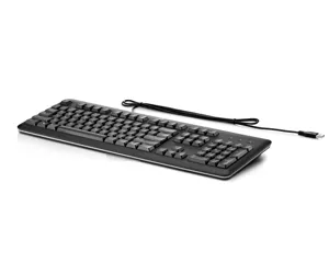 HP USB Keyboard for PC