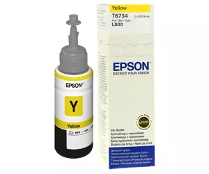 Epson T6734