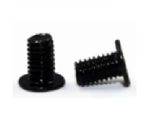 Acer SCREW SILVER 2PCS