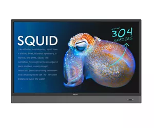 Benq RP553K