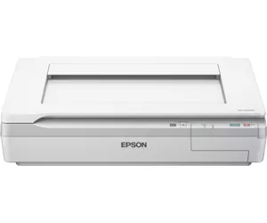 Epson WorkForce DS-50000 Lameskanner 600 x 600 DPI A3 Valge