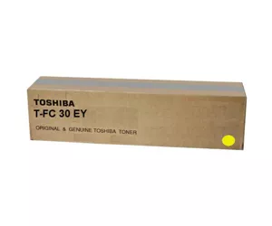 Toshiba T-FC 30 EY