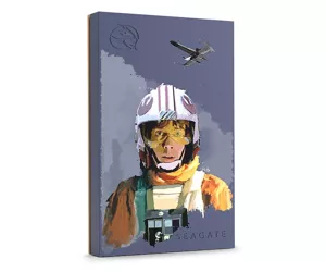 Seagate Game Drive Luke Skywalker™ Special Edition FireCuda