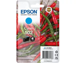 Epson 503