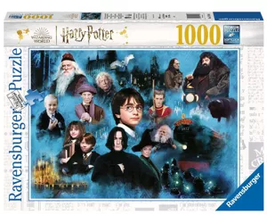 Ravensburger 17128