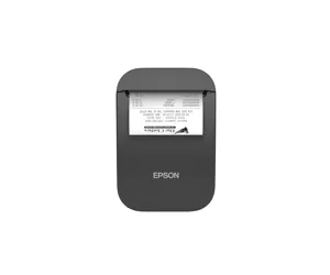 Epson TM-P80II AC (131)