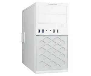 bluechip MEDICAL T3300 i5-12400 Mini Tower Intel® Core™ i5 8 GB DDR5-SDRAM 250 GB SSD Windows 10 Pro PC Valge