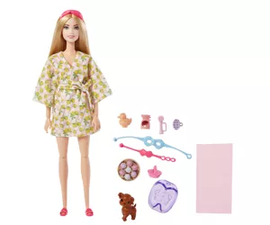 Barbie Fashionistas HKT90 nukk