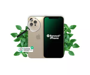 Renewd iPhone 12 Pro Max Две SIM-карты iOS 14 4G 6 GB 128 GB 3687 mAh Золото