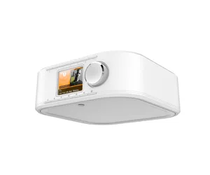 Hama DIR355SBT