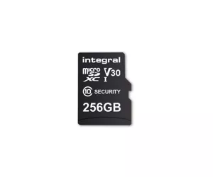 Integral INMSDX256G10-SEC
