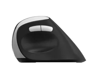 Rapoo EV250